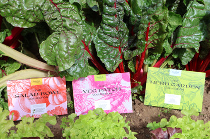The Seed Collection Gift Box