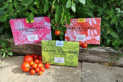 The Seed Collection Gift Box