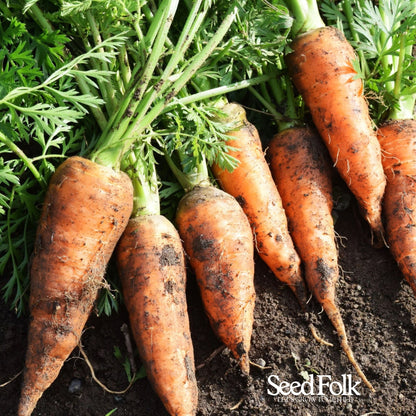 Carrots