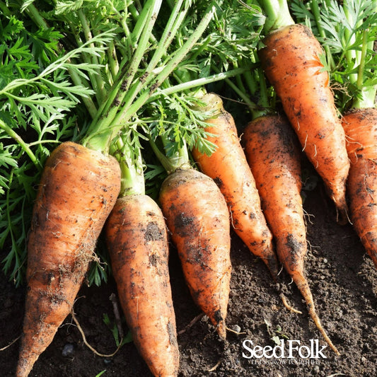 Carrots