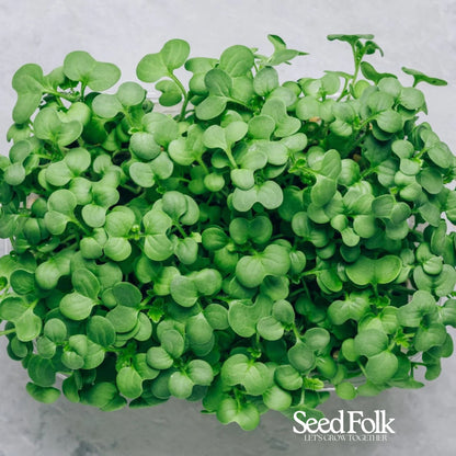Cress