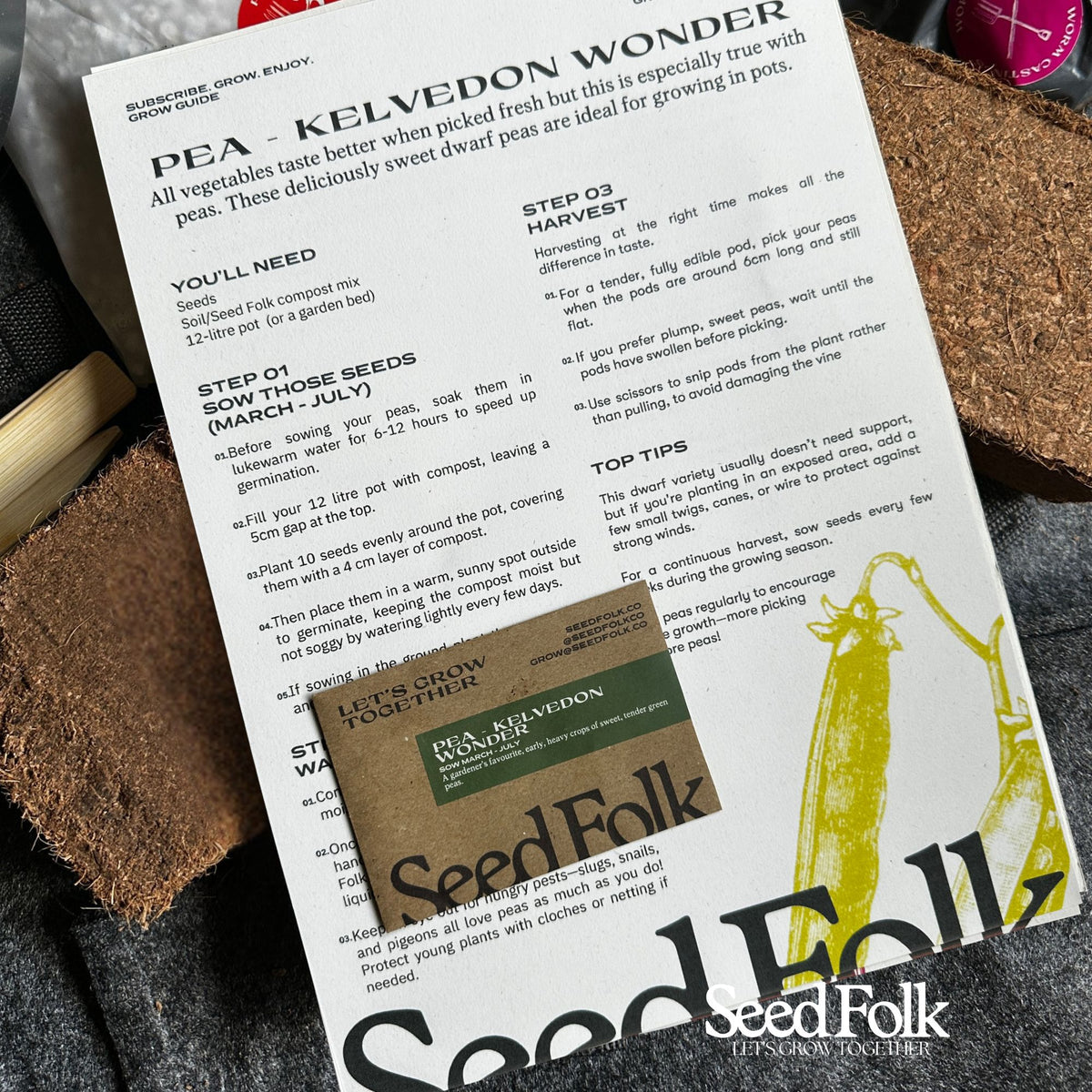 Pea - Kelvedon Wonder