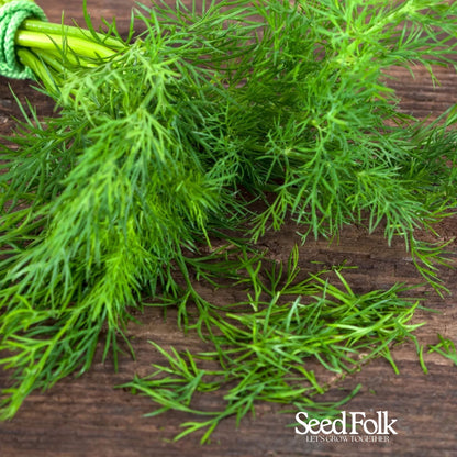 Dill