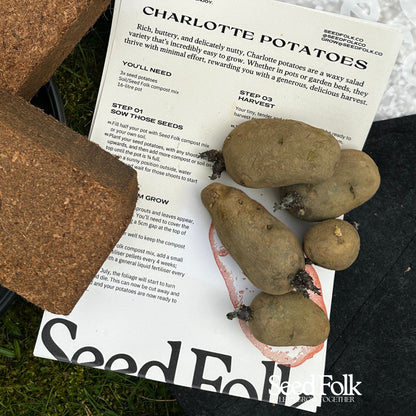 Charlotte Potatoes