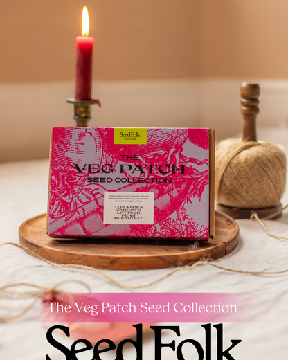 The Seed Collection Box