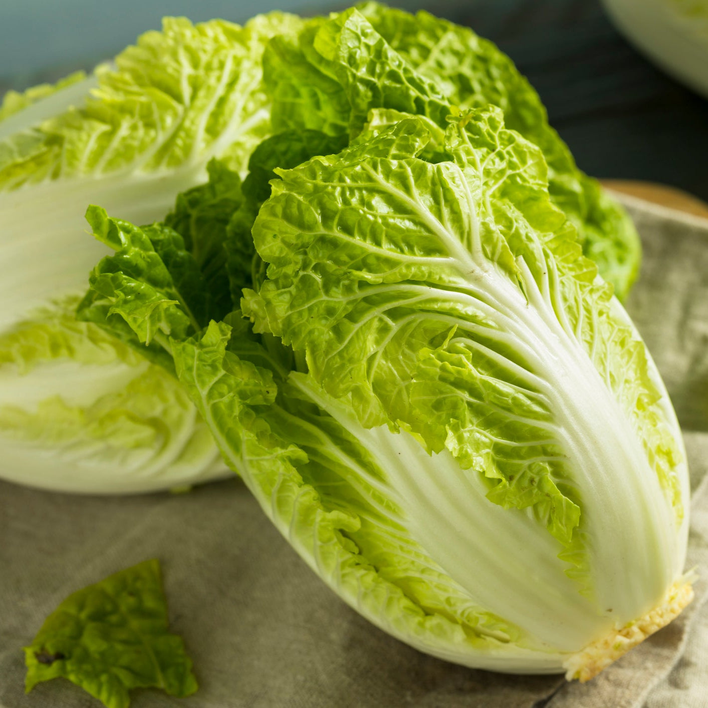 Chinese Cabbage